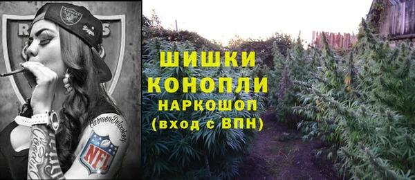 ГАЛЛЮЦИНОГЕННЫЕ ГРИБЫ Абаза