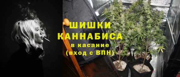 ГАЛЛЮЦИНОГЕННЫЕ ГРИБЫ Абаза