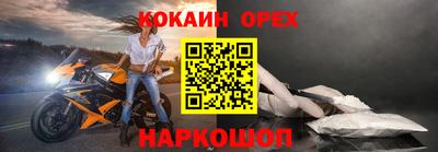 шишки Заволжье