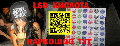 шишки Заволжье