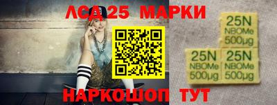 шишки Заволжье