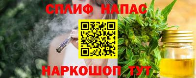 шишки Заволжье