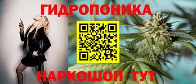 шишки Заволжье