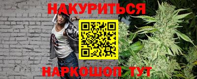 шишки Заволжье