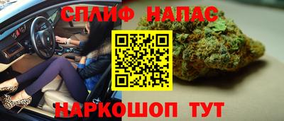 дурь Заводоуковск