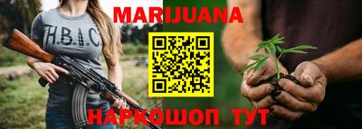 шишки Заволжье