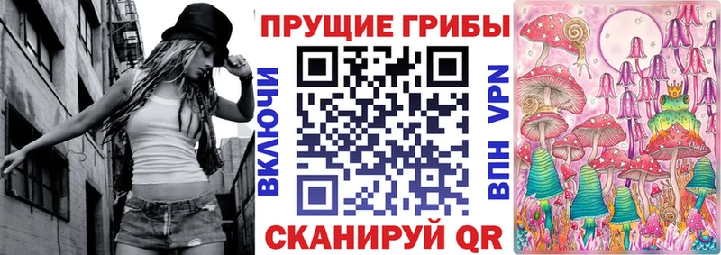 Галлюциногенные грибы Psilocybe  Рославль 