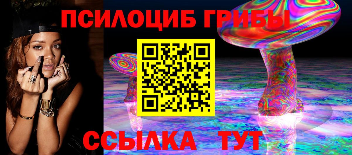 Галлюциногенные грибы GOLDEN TEACHER  магазин продажи наркотиков  Рославль  Вход с VPN  Галлюциногенные грибы GOLDEN TEACHER 